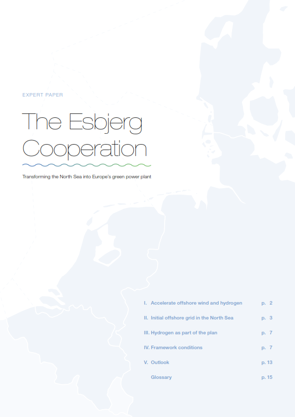 The Esbjerg Cooperation - Expert paper